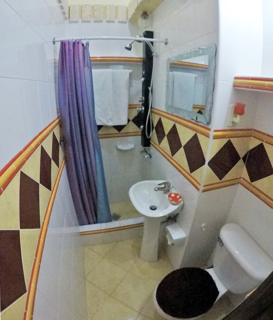 Ensuite bathroom of Room 1 in Casa Nativity in Vedado Havana Cuba